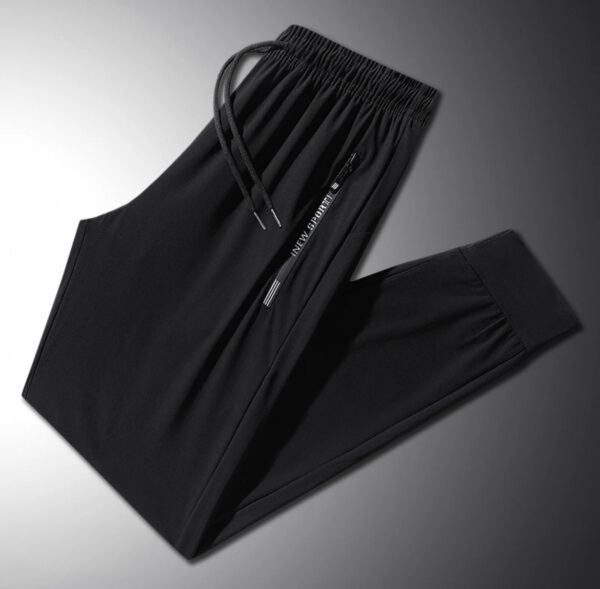 Ice Silk Pants - Image 4